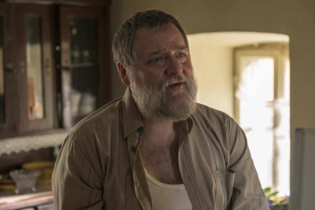 Nikola Pejaković u seriji Tvrđava