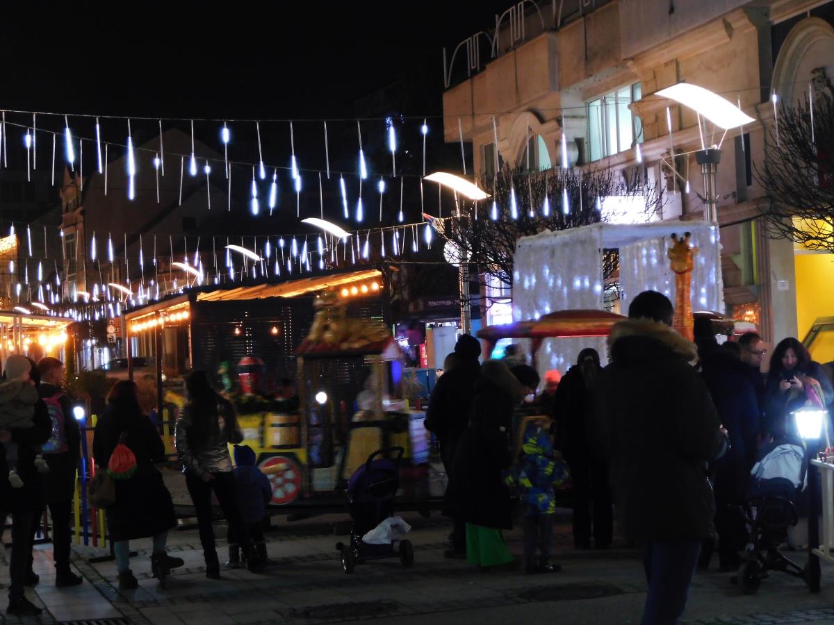 LOZNICA - Vožnja (1).JPG