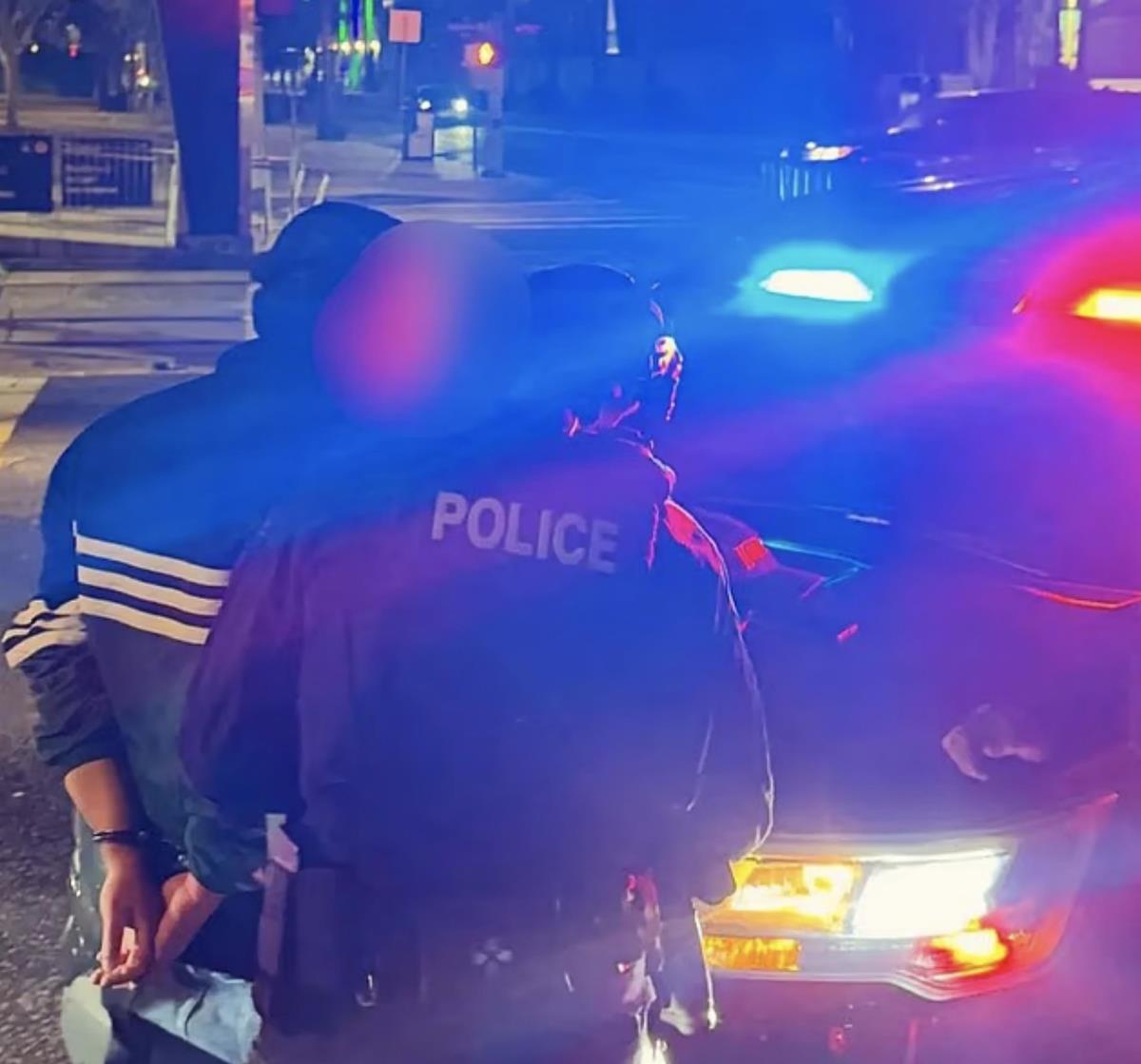 Hapšenje Nika Rajnera