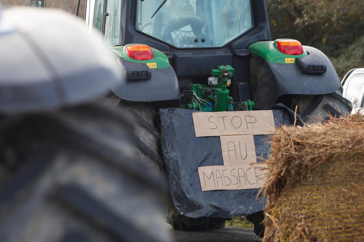 Francuska protest (8).jpg