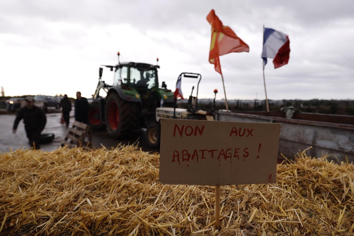 Francuska protest (15).jpg