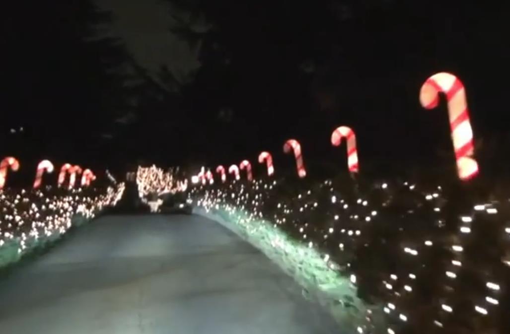 Kristal Haris pokazuje Plejboj vilu za Božić (5).png