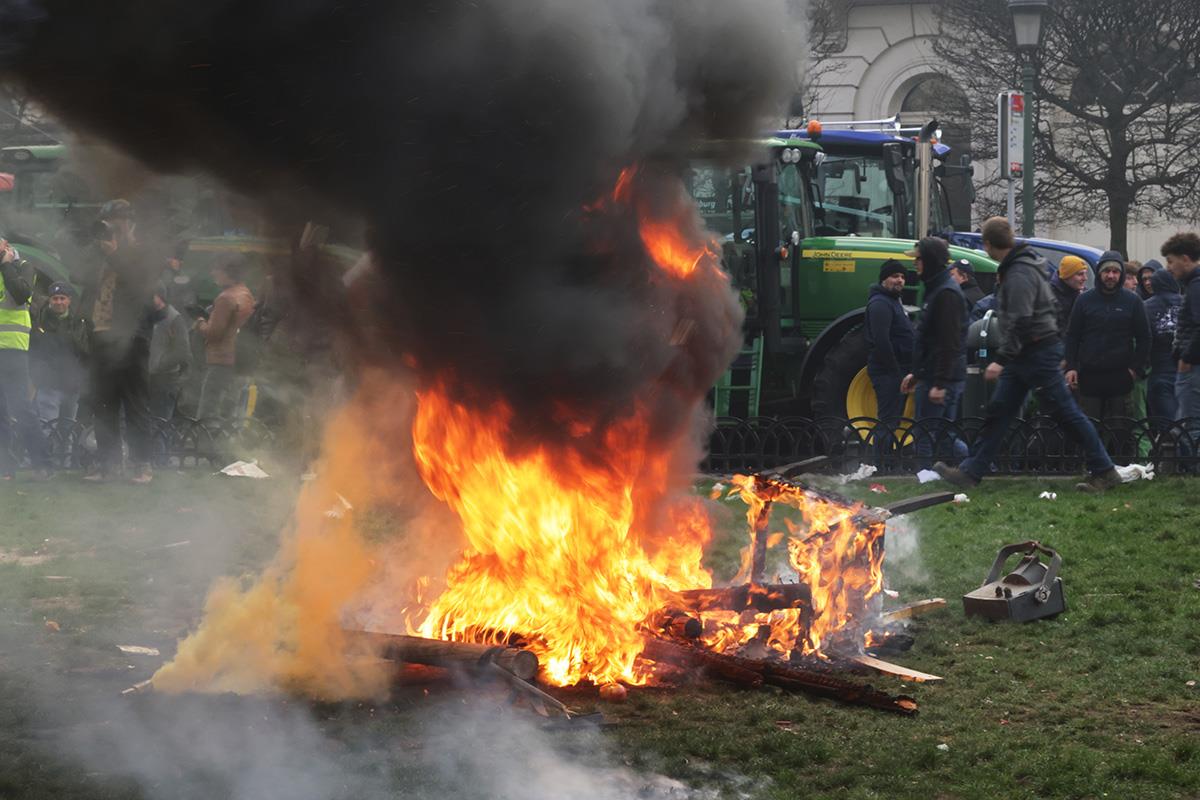 Brisel protest (13).jpg