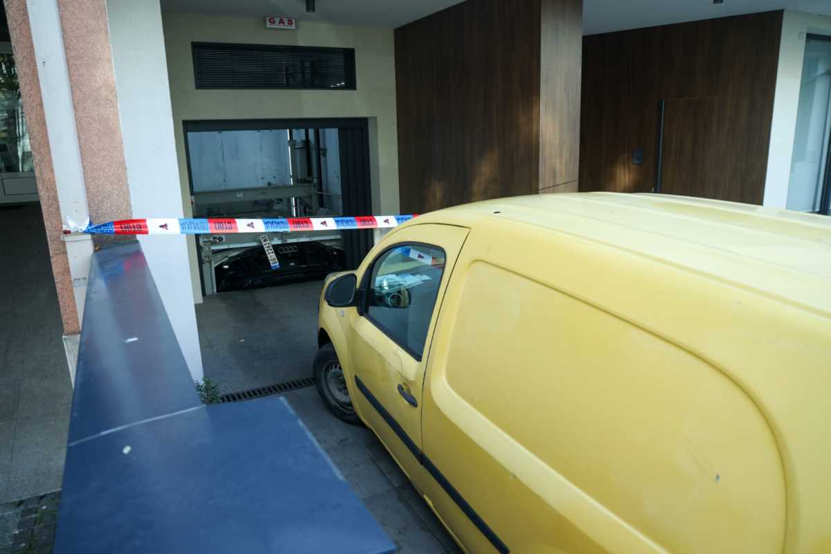 WhatsApp Image 2025-12-19 at 10.50.19.jpeg