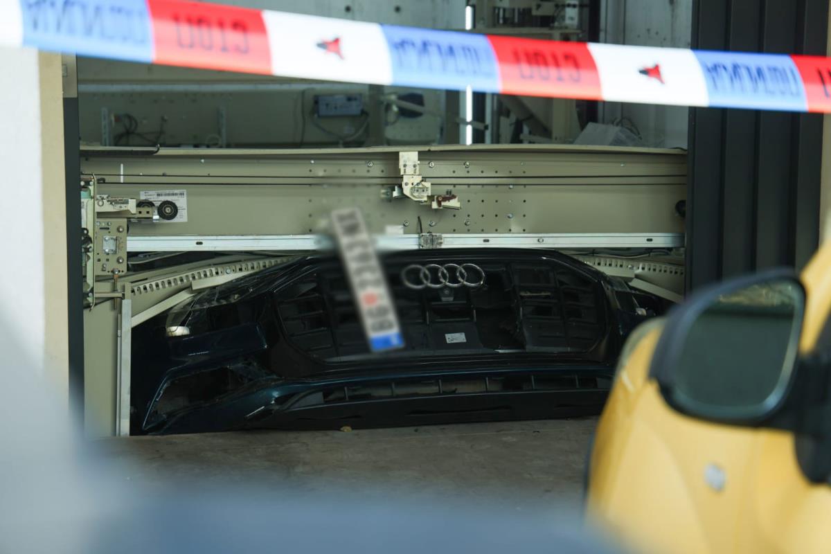 WhatsApp Image 2025-12-19 at 10.50.18 (1).jpg