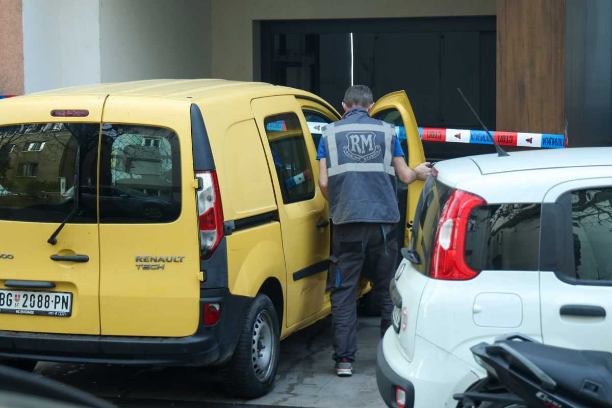 WhatsApp Image 2025-12-19 at 10.55.06.jpeg