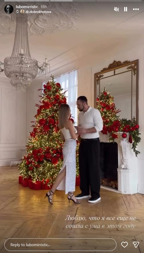 ljubomir ristic 6.png