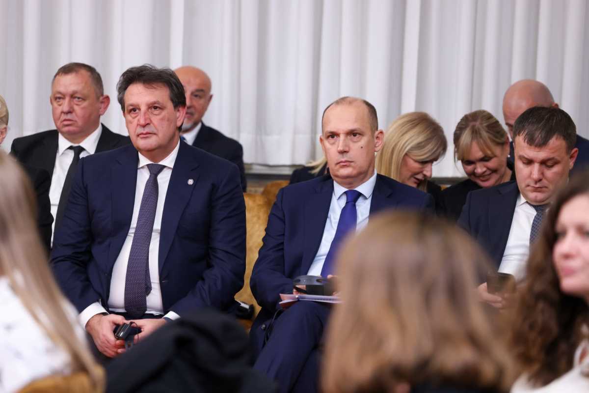 Aleksandar Vučić (7).jpeg