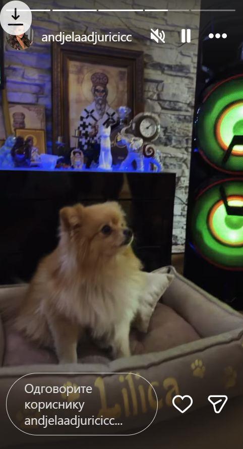 Stan Anđele i Gastoza