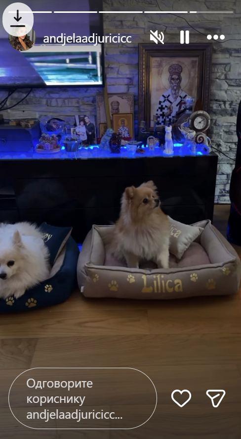 Stan Anđele i Gastoza