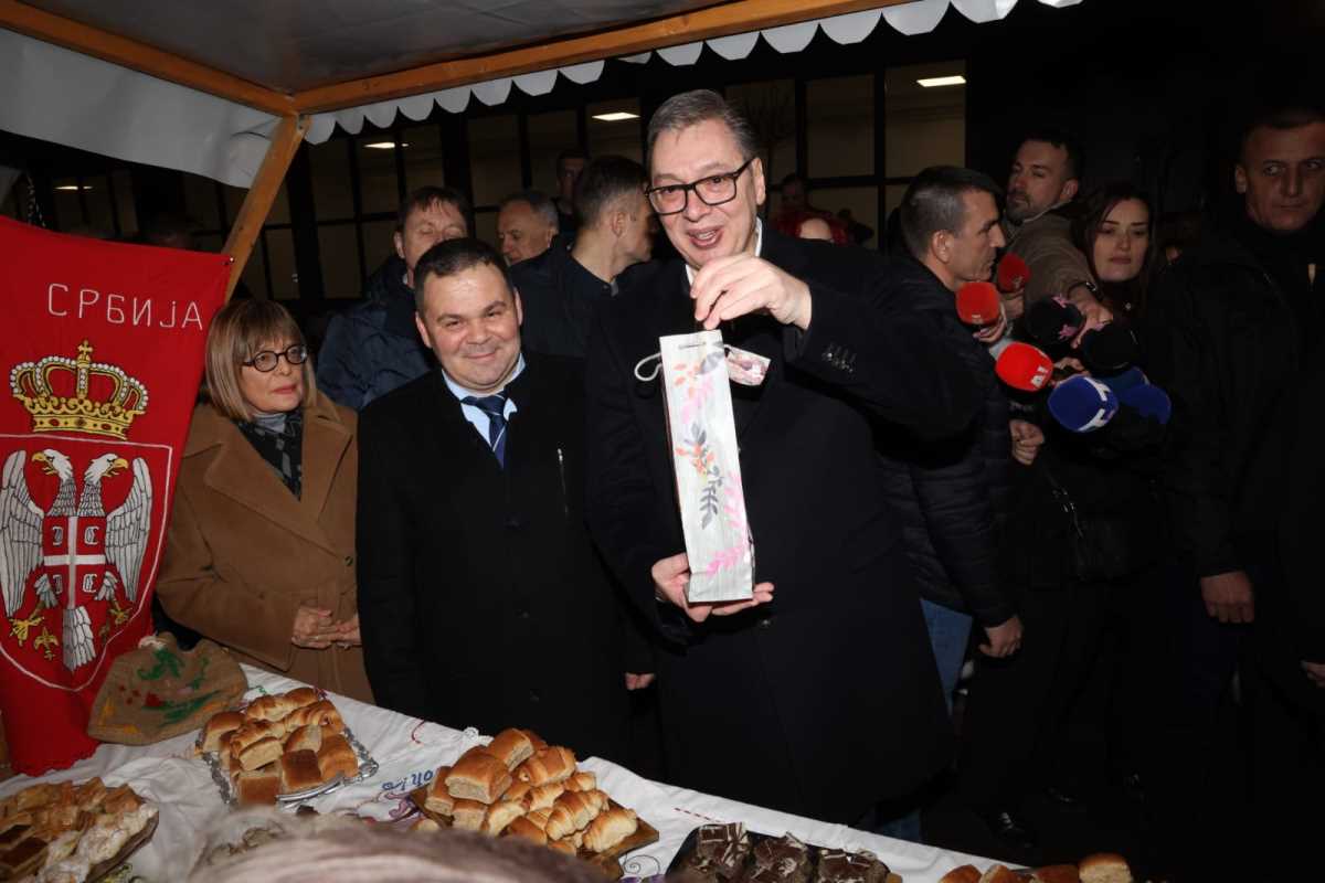 Aleksandar Vučić (10).jpeg