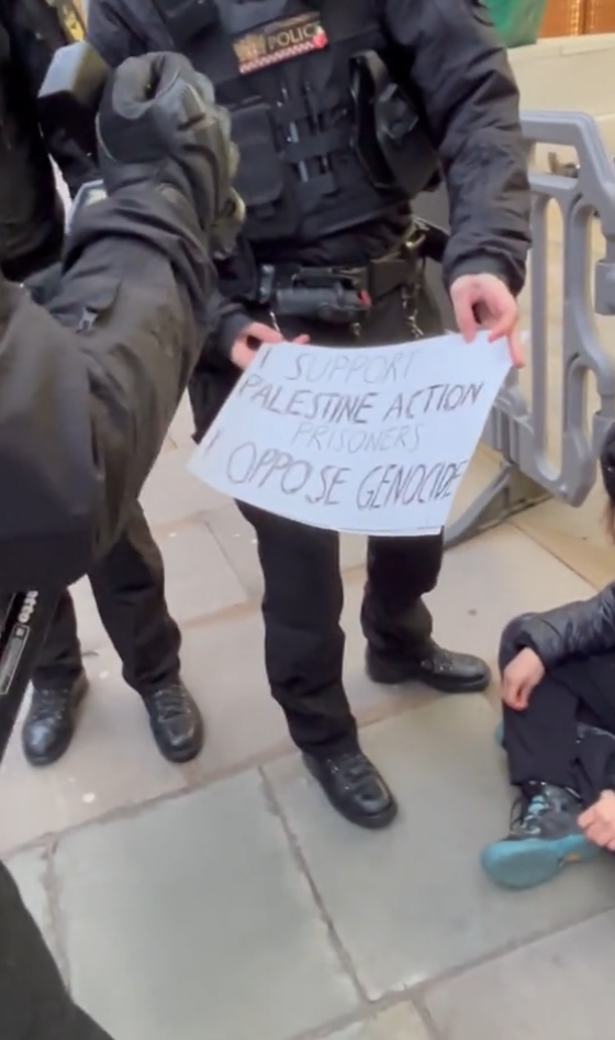 Greta Tunberg (4).png