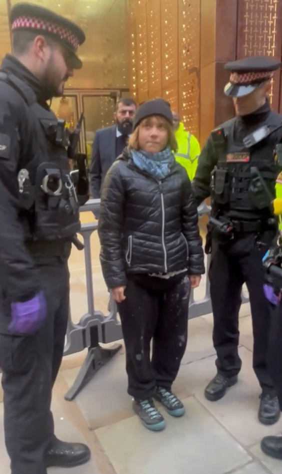 Greta Tunberg (2).png