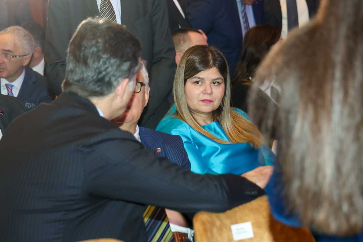 Ambasadorska konferencija Maja Stefanović