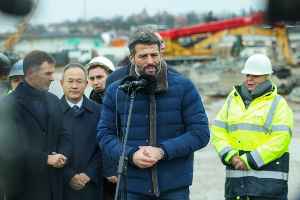 Aleksandar Vučić (10).jpeg