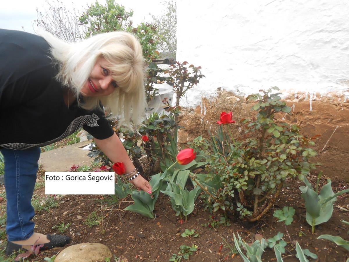 DSCN2684-1024x768-1 (1).jpg