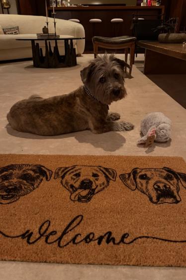 pas Dženifer Aniston