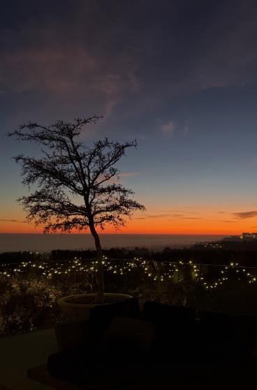 Dženifer Aniston, proslava Božića