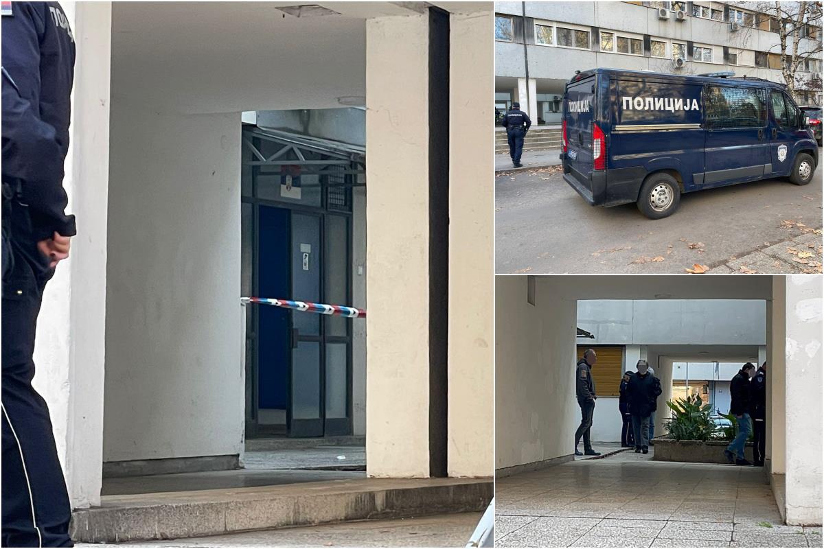 Novi Beograd ubadanje