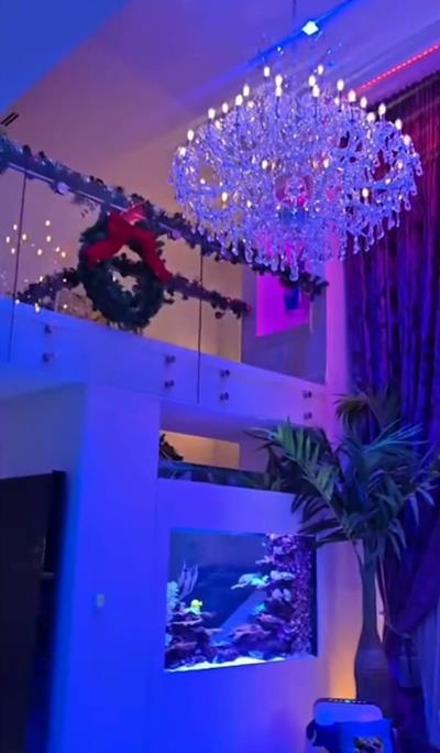 Koko Ostin pokazala novu kuću.jpg