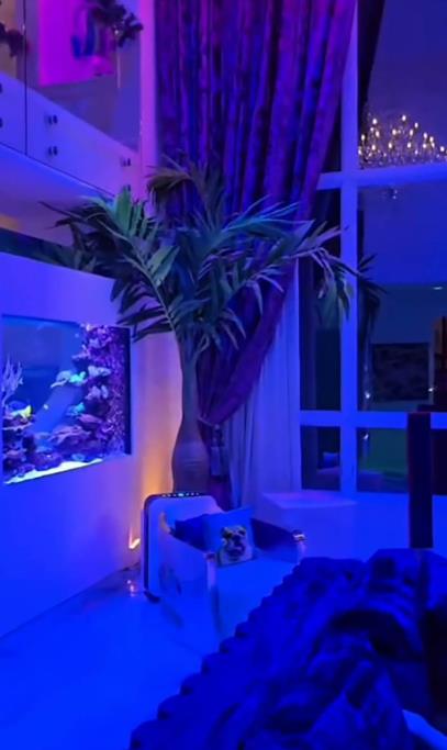 Koko Ostin pokazala novu kuću.jpg