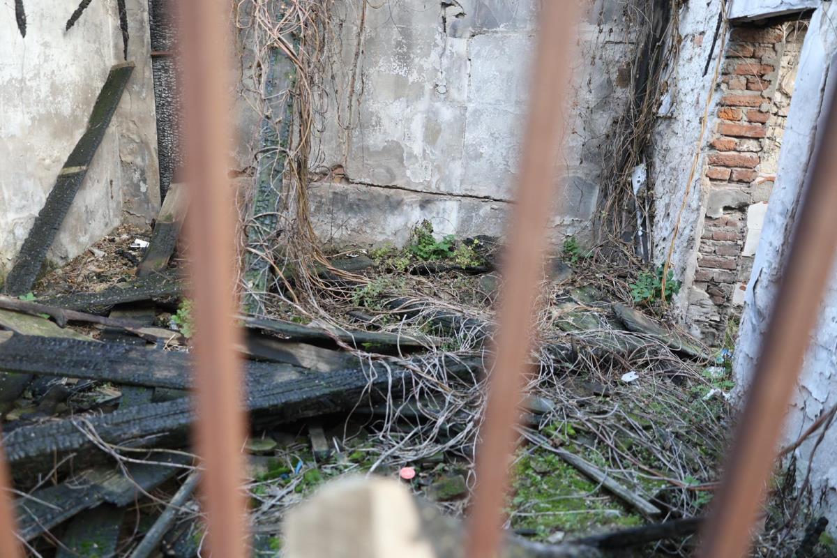 WhatsApp Image 2025-12-28 at 09.24.14.jpeg