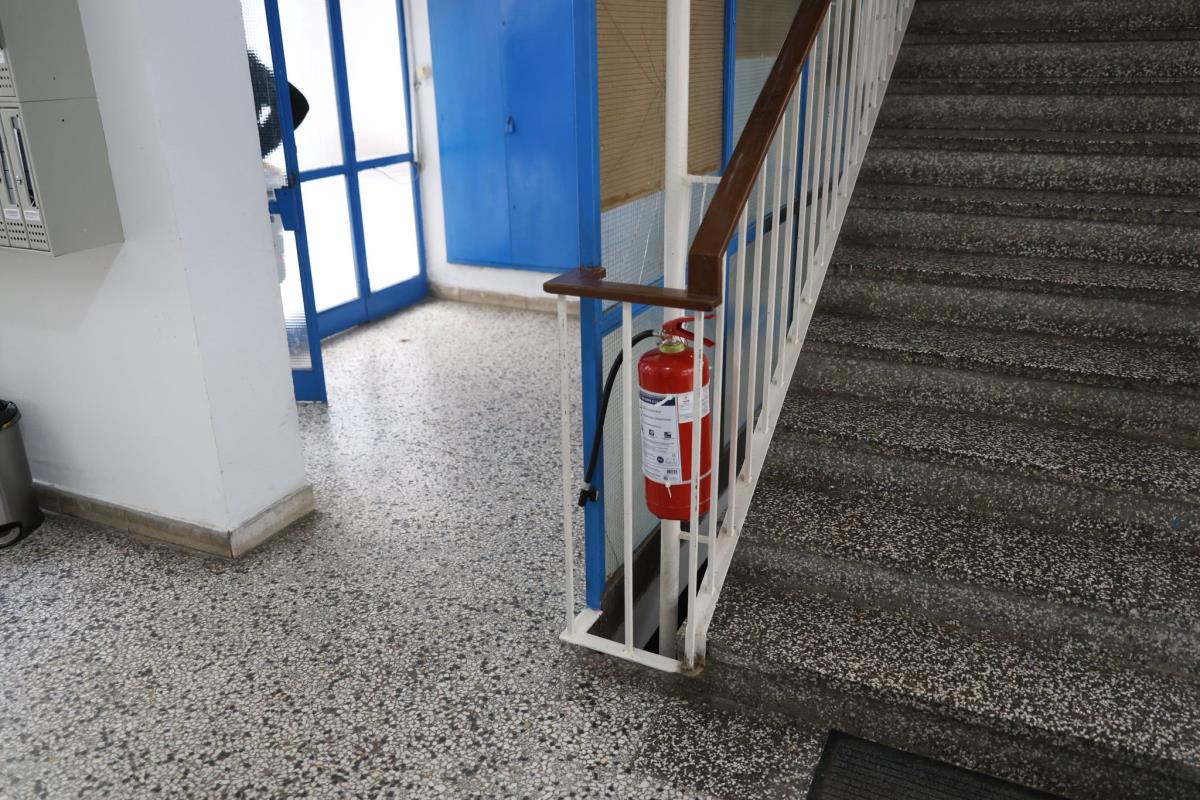 Izbodena baka (6).jpeg