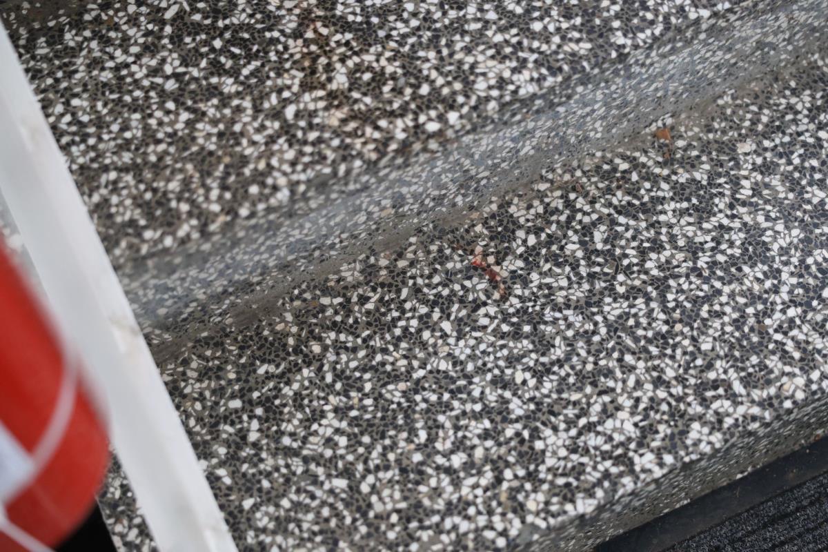 Izbodena baka (10).jpeg