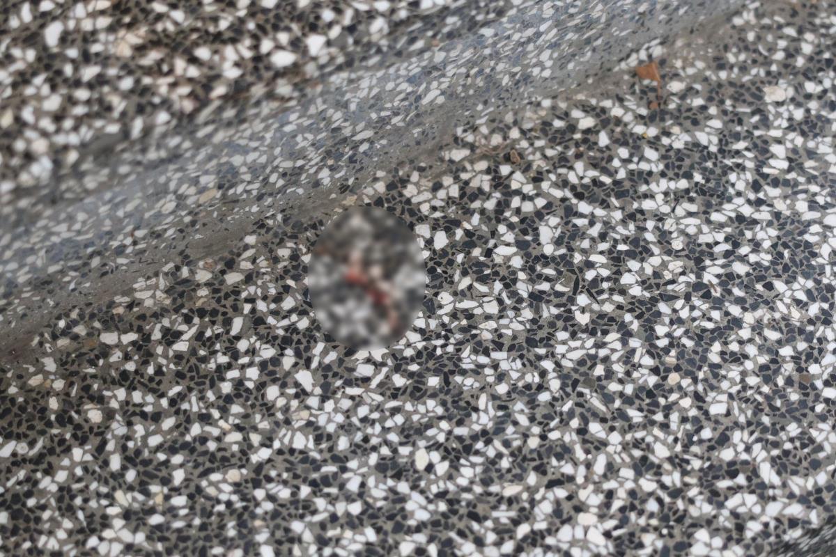 Izbodena baka (9).jpeg