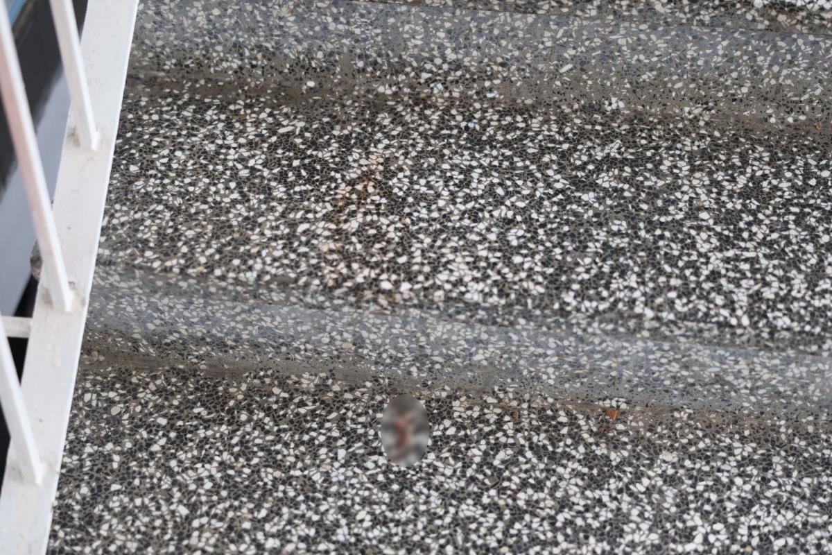 Izbodena baka (8).jpeg