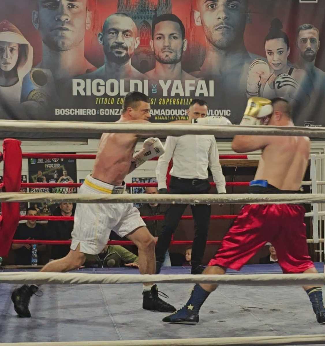 Miloš Stojanović Tigar