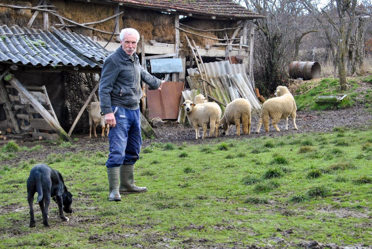 Bozicni konvoj 2.jpg