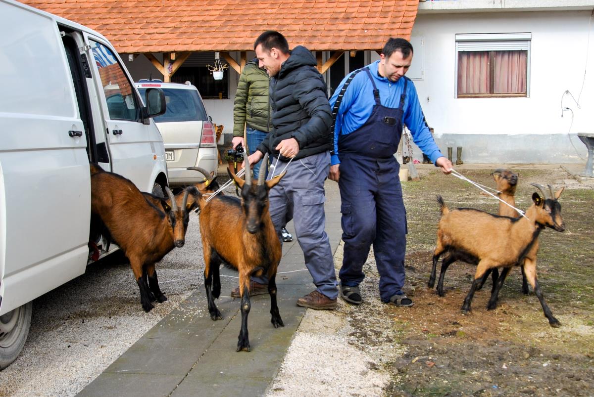 Bozicni konvoj 4.jpg