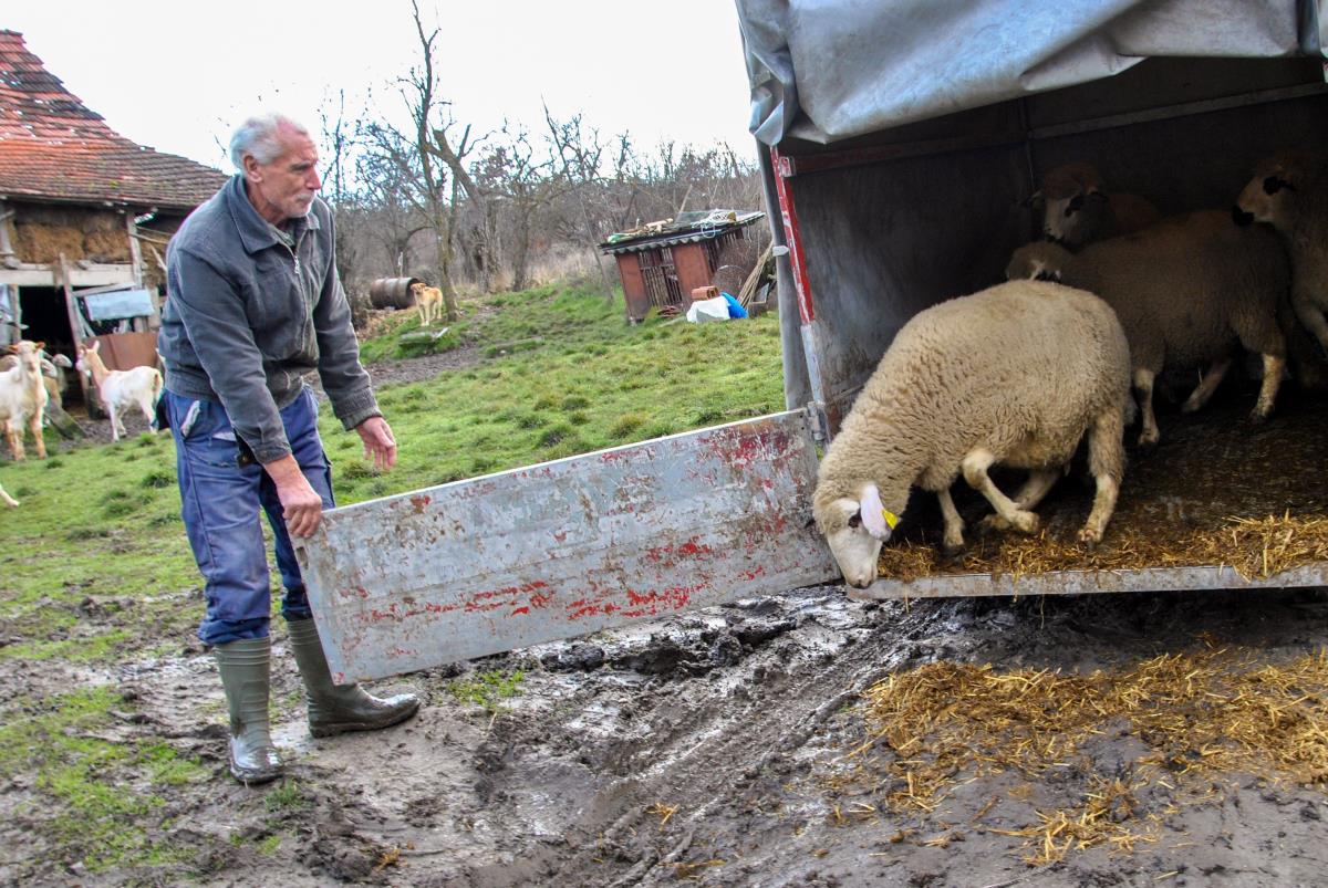 Bozicni konvoj 1.jpg