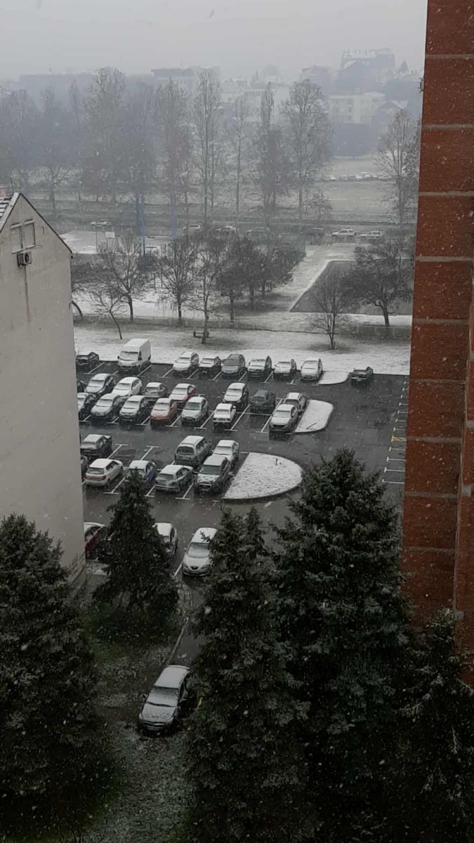 LOZNICA - Biće ga i sutra.jpg