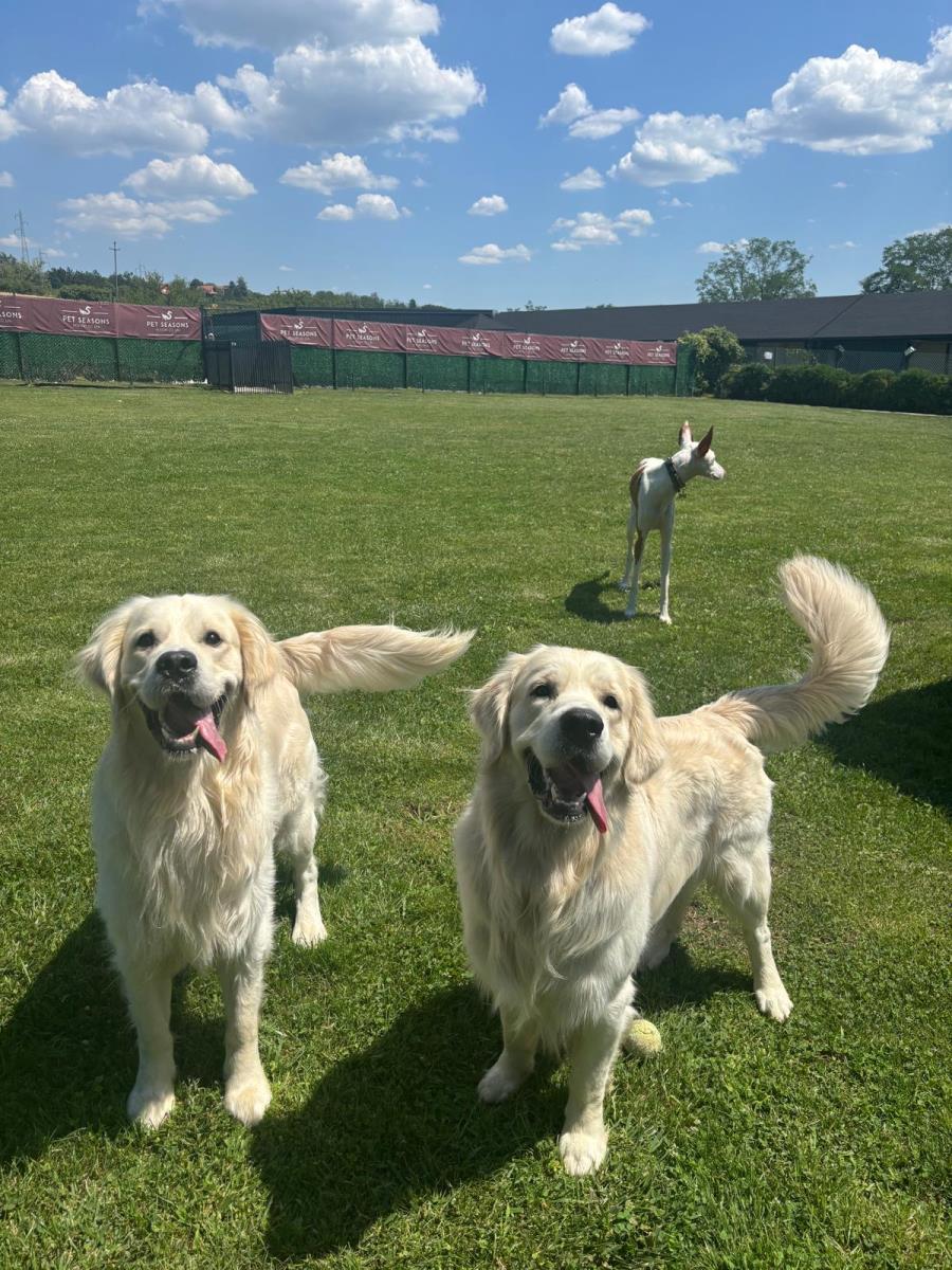 WhatsApp Image 2026-01-03 at 09.27.50.jpeg