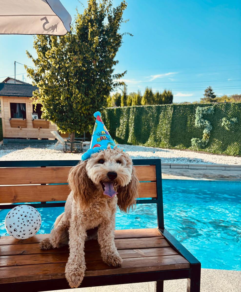 WhatsApp Image 2026-01-03 at 09.27.49.jpeg