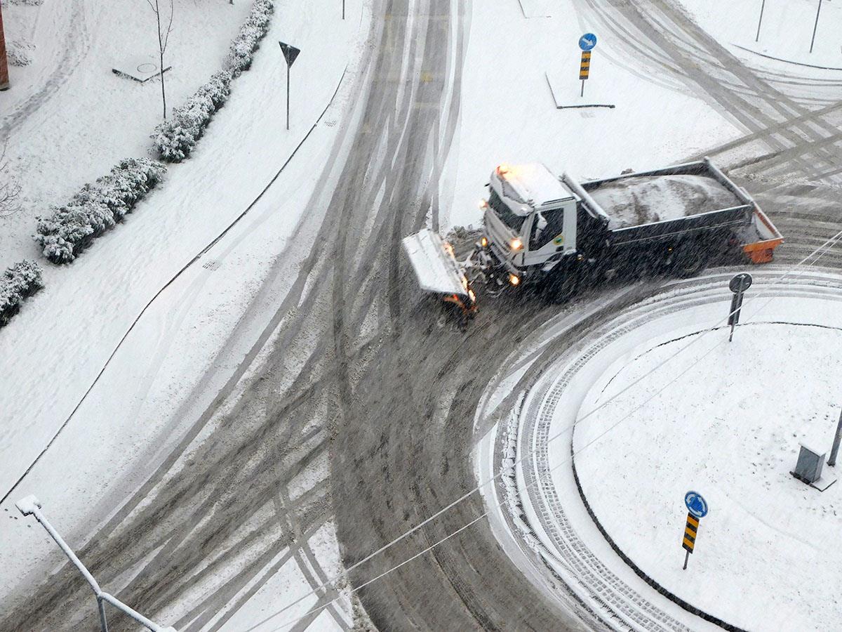 LOZNICA - Akcija.JPG