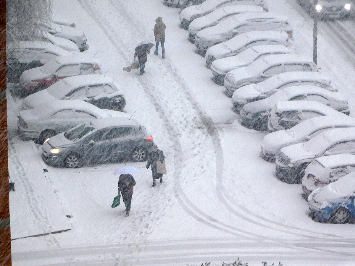 LOZNICA - Belilo.JPG