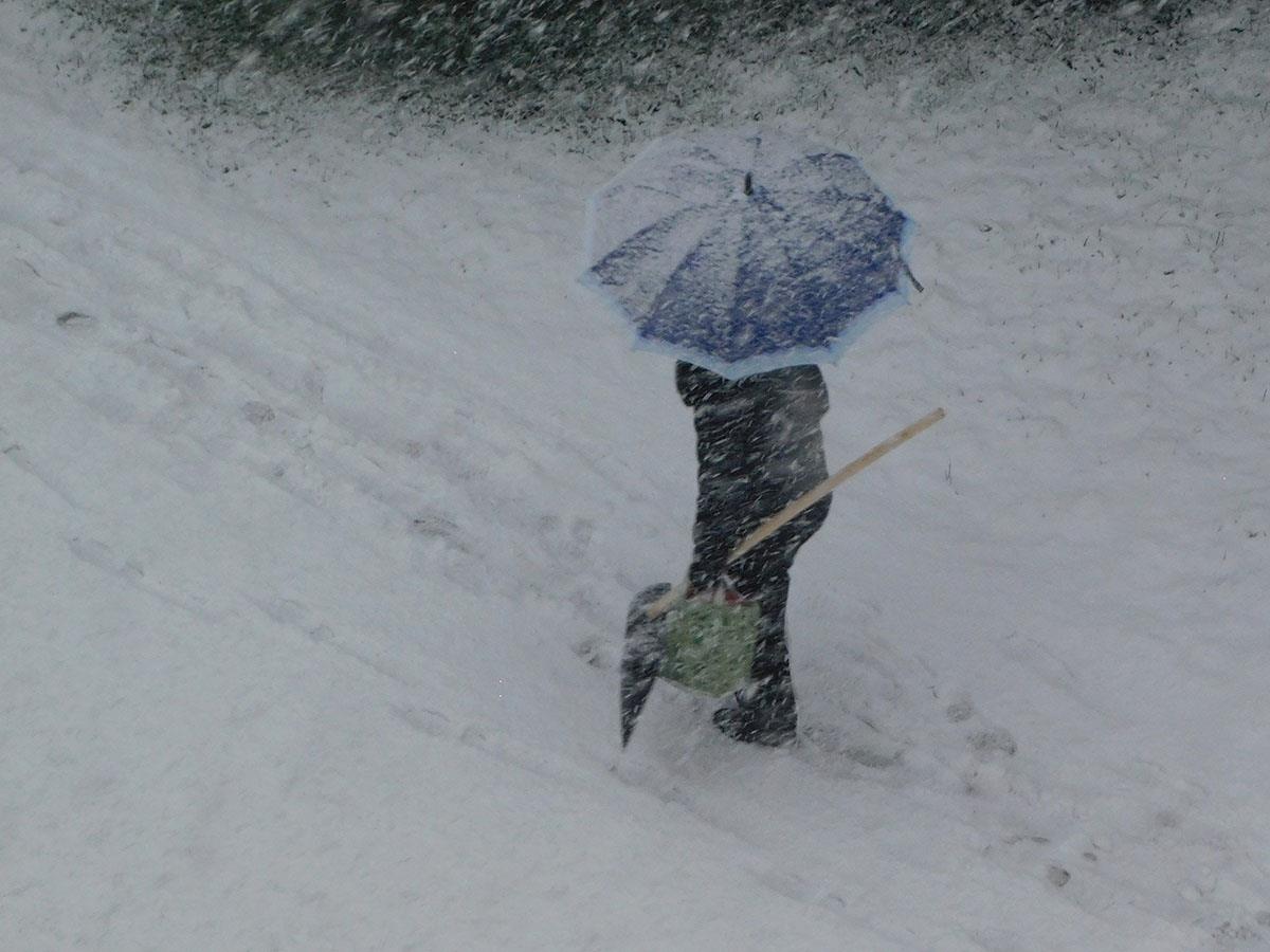 LOZNICA - Lopata.JPG