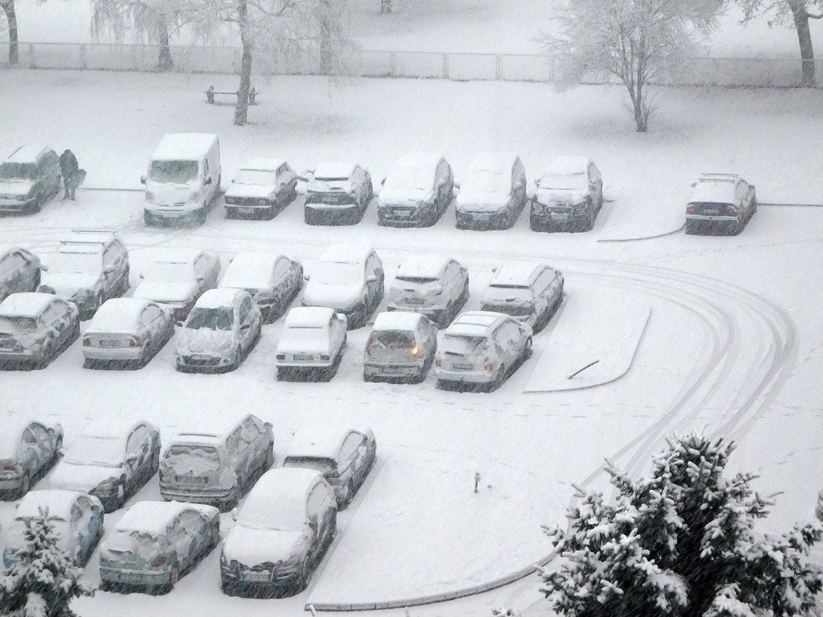 LOZNICA - Mirovanje.JPG