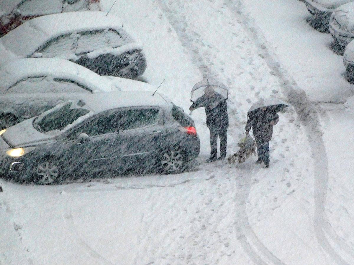 LOZNICA - Neko čisti kola, neko nosi badnjak
