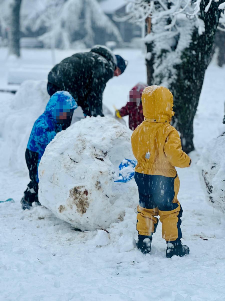 Beograd sneg (5).jpeg