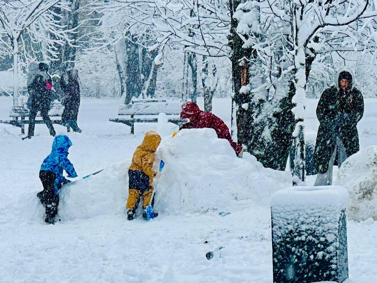 Beograd sneg (4).jpeg