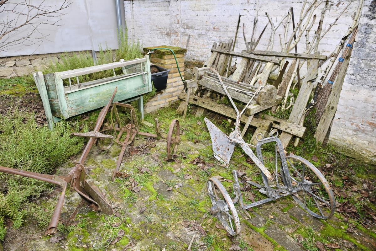 vukovar dalj marko karovic (29).jpg