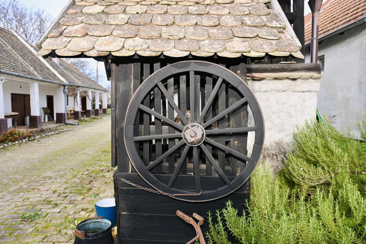 vukovar dalj marko karovic (30).jpg