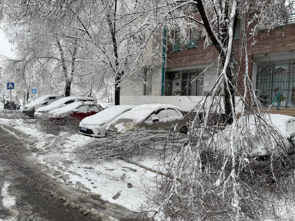 drvo blok 29 (10).jpeg