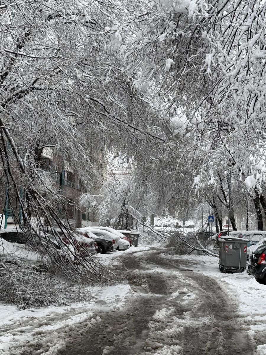 drvo blok 29 (9).jpeg