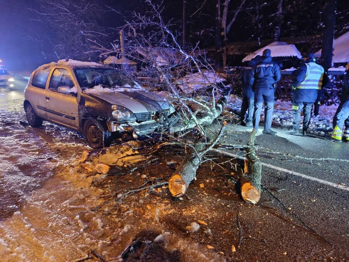 WhatsApp Image 2026-01-06 at 05.24.33.jpeg