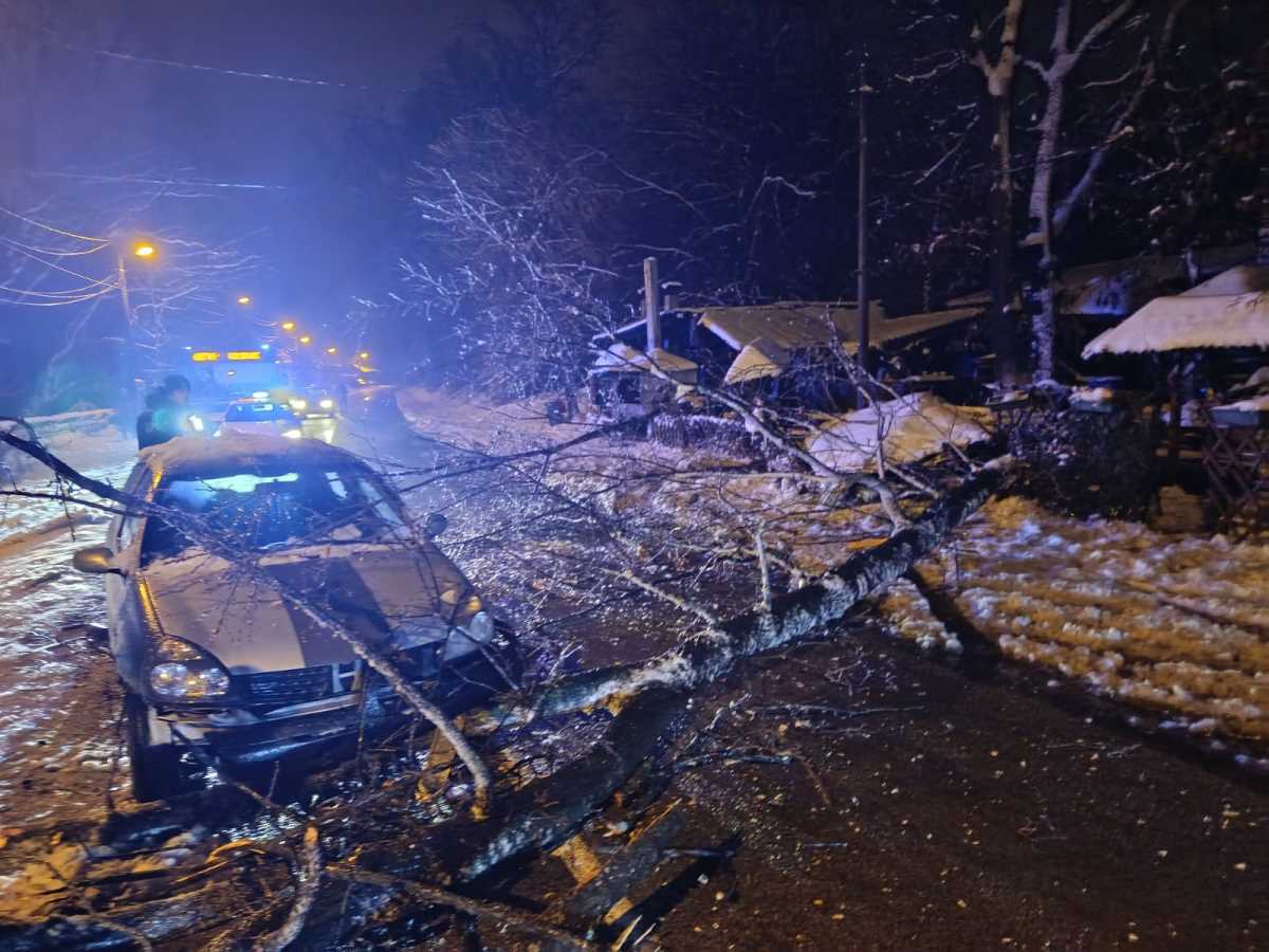 WhatsApp Image 2026-01-06 at 05.20.18 (1).jpeg